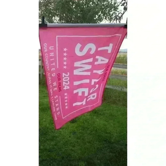 Taylor Swift 3’ X 5’ Save America Again 2024 Pink Banner Flag Room Decor Tic Toc - Picture 5 of 7